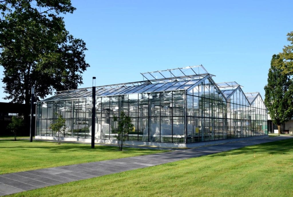 Gewächshaus